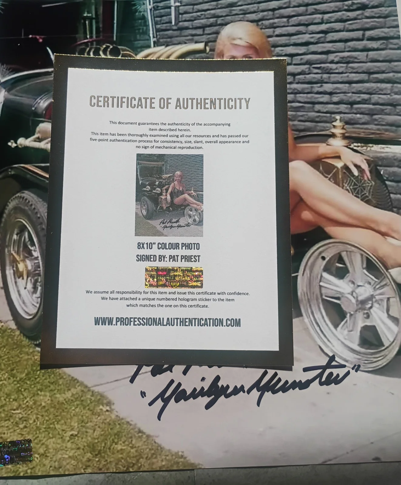 Pat Priest Hand Signed Autograph 8x10 Photo COA The Munsters NO US TARIFFS, изображение 4