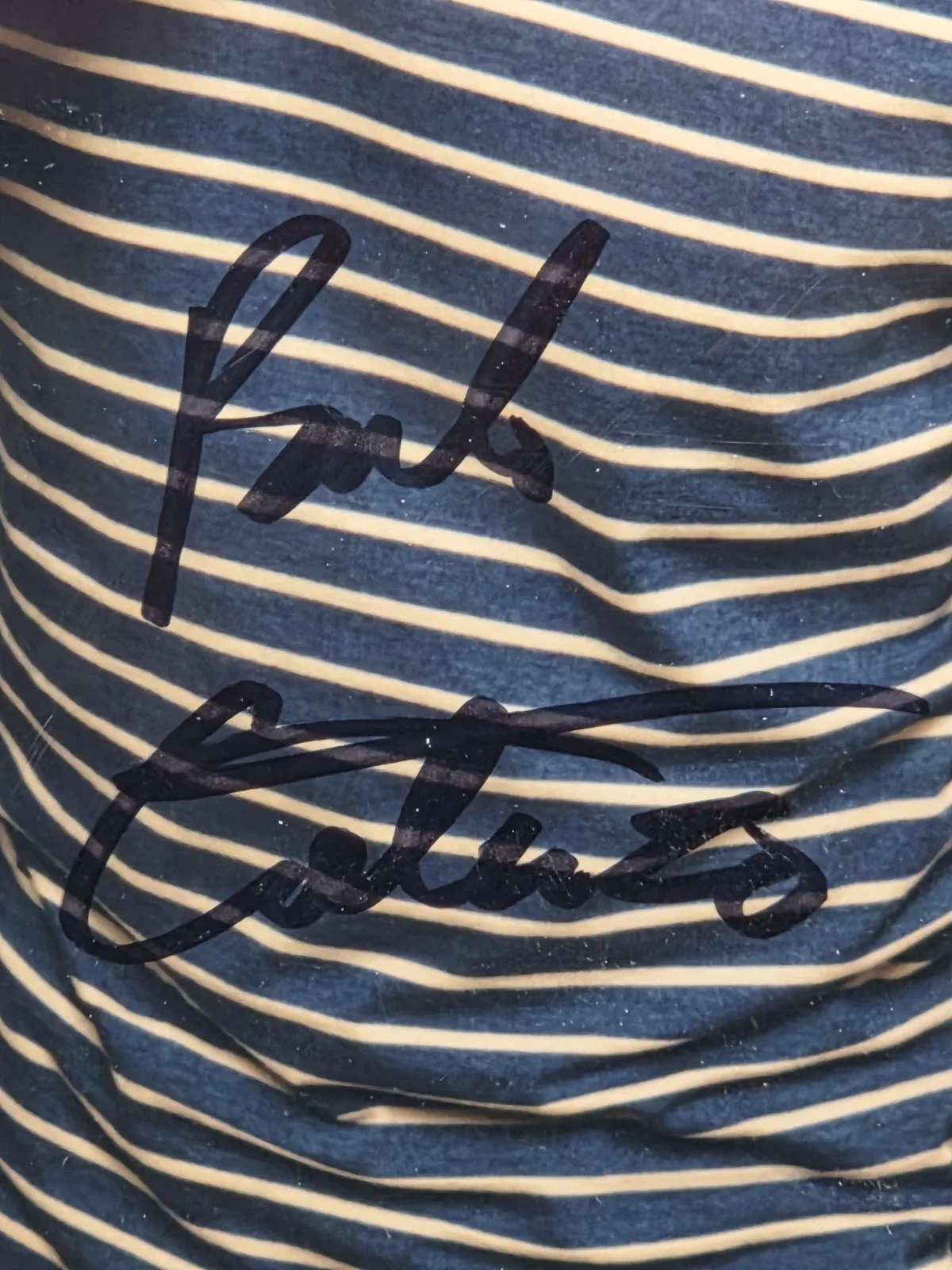 Paulo Costanzo Signed 8x10 Photo Royal Pains Evan Lawson JSA Certified Autograph, изображение 2