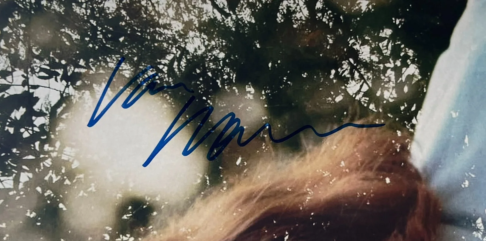 VAN MORRISON Signed 'ASTRAL WEEKS' 11x14 Photo (c. 1968) ROGER EPPERSON COA, image 2