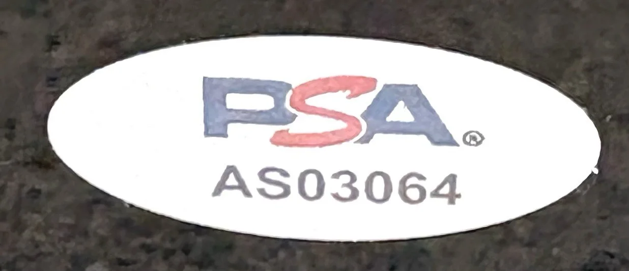 GEESE Band SIGNED Guitar Getting Killed PSA/DNA AUTHENTICATION, image 3