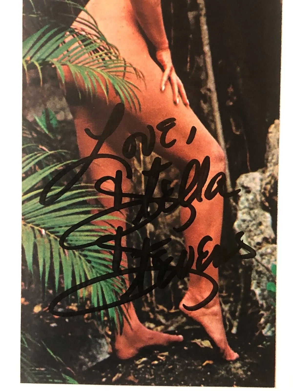 Stella Stevens — Stella Stevens "Poseidon Adventure" Signed Autographed 6.25x2.5 Magazine Photo, изображение 4