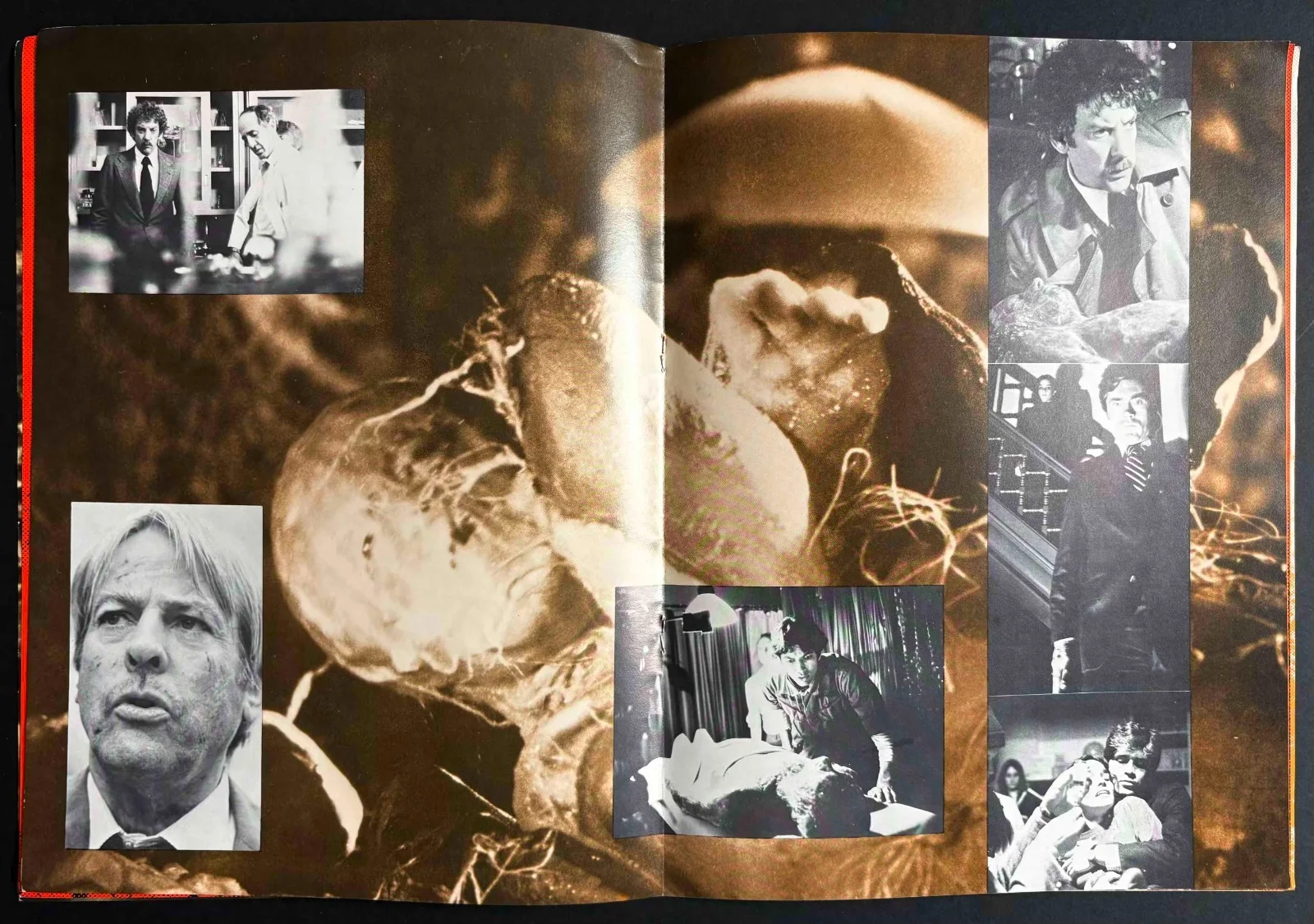 Invasion of the Body Snatchers ORIGINAL Film Brochure Donald Sutherland 1978, изображение 3