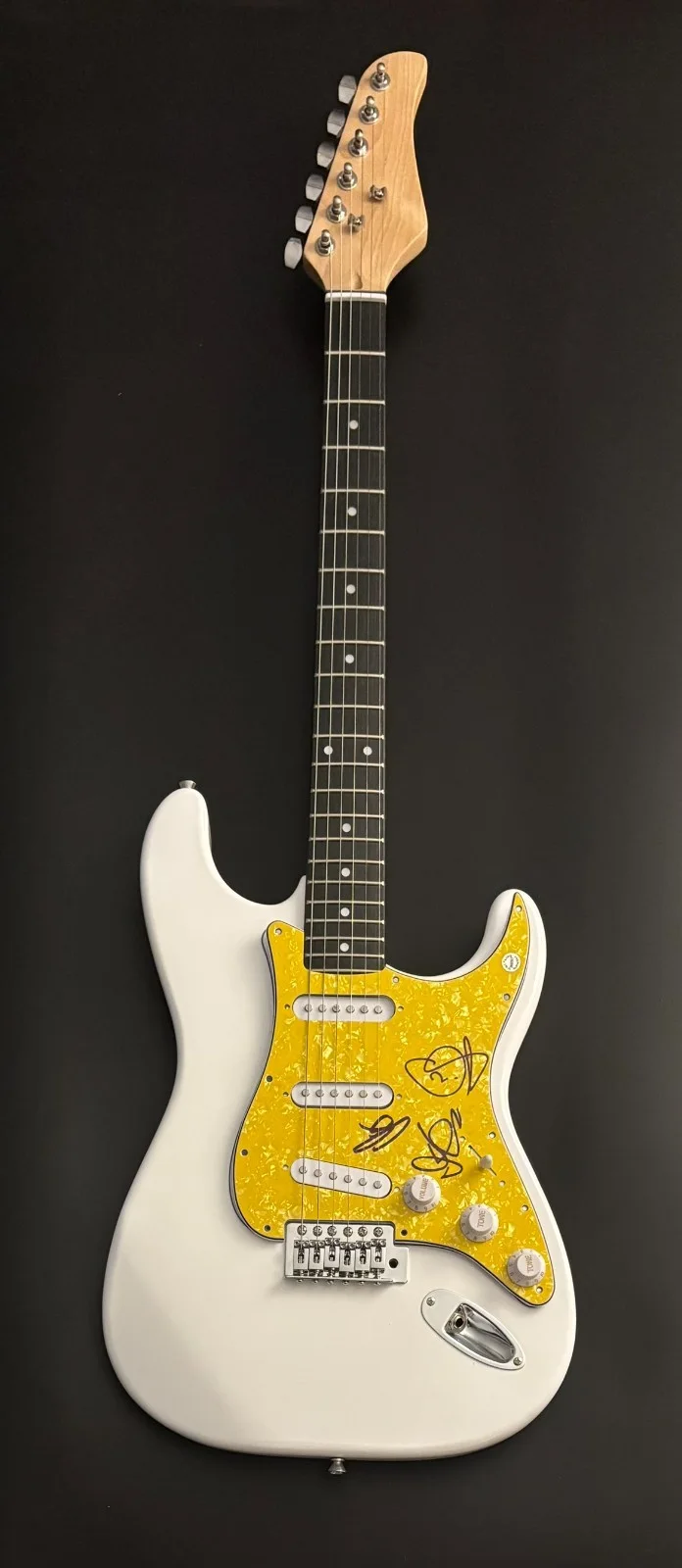 GFA Corey Glover x3 Band * LIVING COLOUR * Signed Electric Guitar PROOF COA, изображение 4