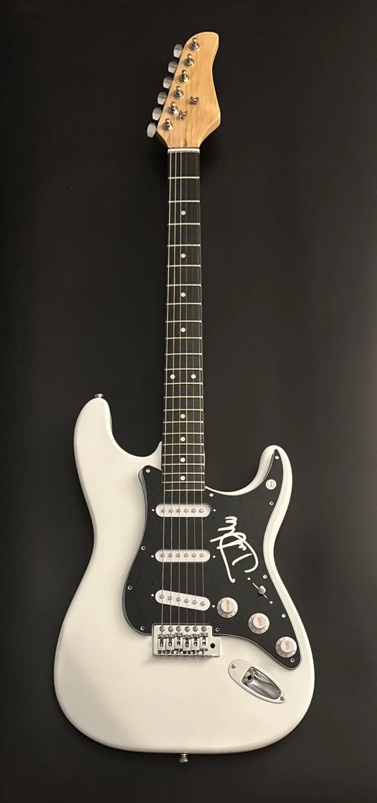 GFA Enuff Z'Nuff Singer * DONNIE VIE * Signed Electric Guitar COA, image 2