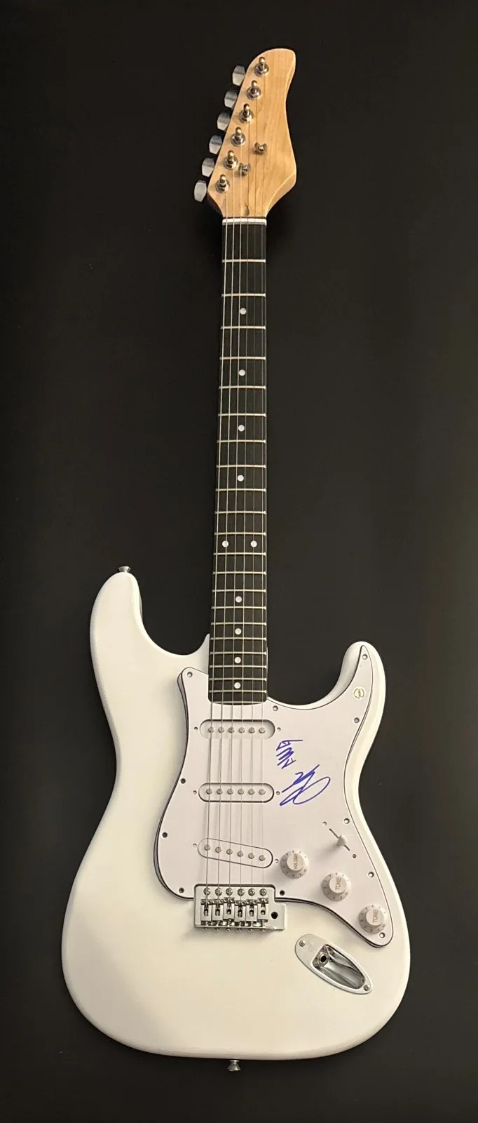 GFA S. Holden Jaffe * DEL WATER GAP * Signed Electric Guitar PROOF COA, изображение 3