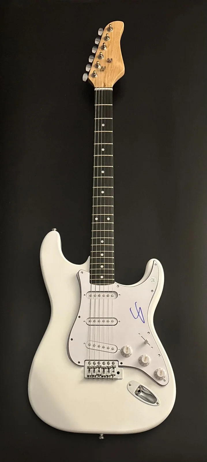 GFA Toto Band Africa Guitarist * STEVE LUKATHER * Signed Electric Guitar COA, изображение 2