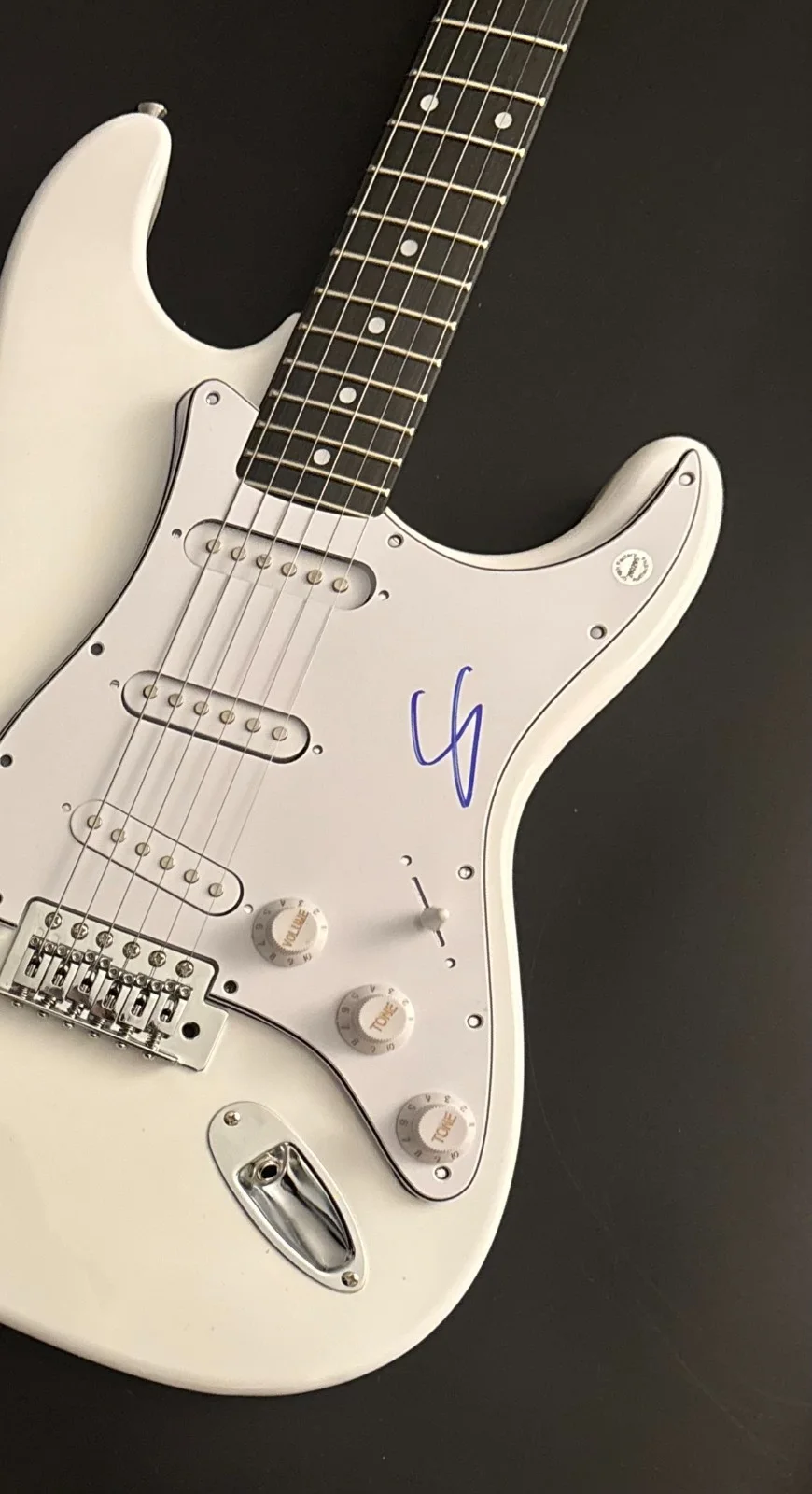 GFA Toto Band Africa Guitarist * STEVE LUKATHER * Signed Electric Guitar COA, изображение 3
