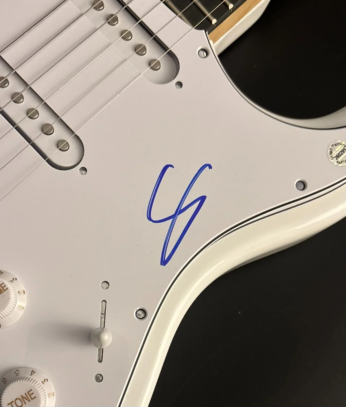 GFA Toto Band Africa Guitarist * STEVE LUKATHER * Signed Electric Guitar COA, изображение 5