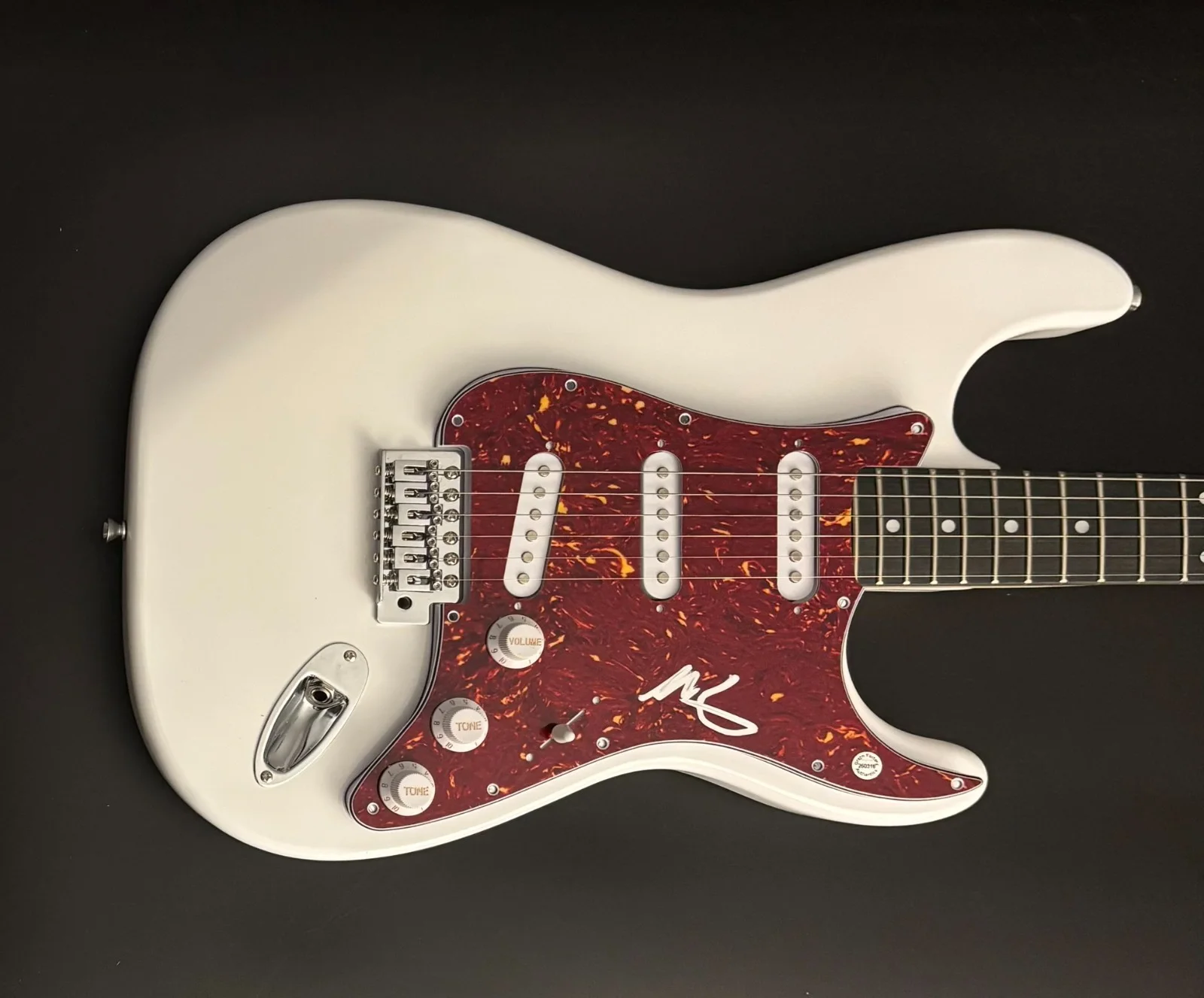 GFA Cage the Elephant * MATT SHULTZ * Signed Electric Guitar PROOF COA, image 3