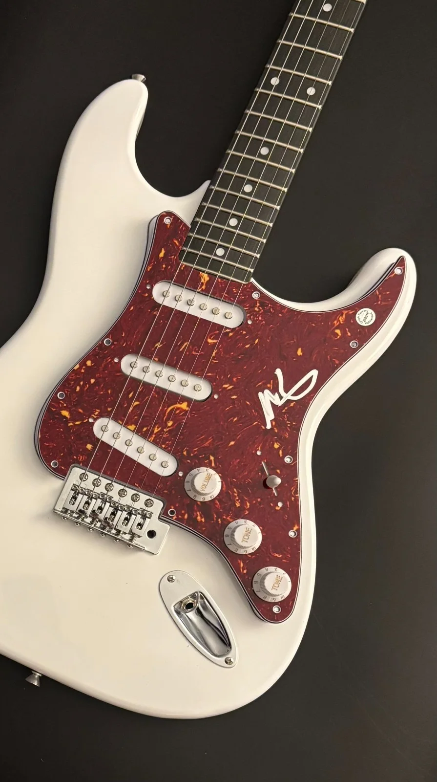 GFA Cage the Elephant * MATT SHULTZ * Signed Electric Guitar PROOF COA, image 4