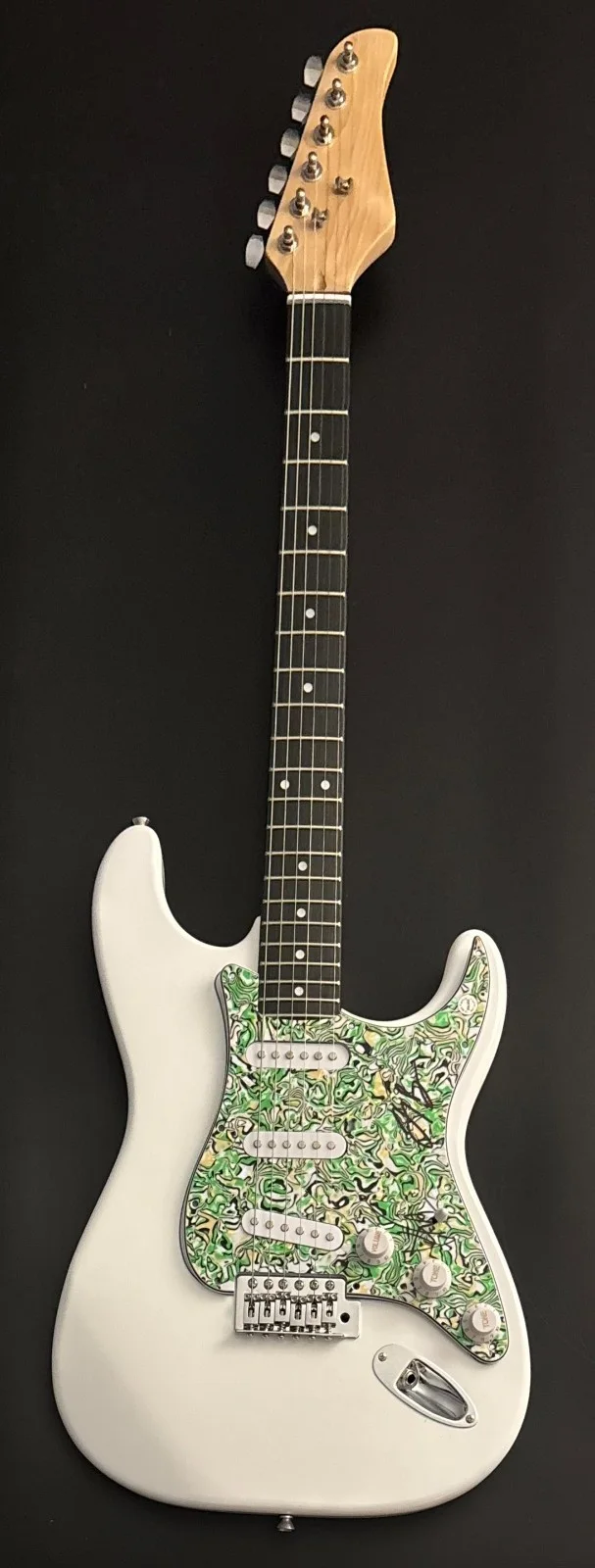GFA Kenneth & Joey Duo * THE MILK CARTON KIDS * Signed Electric Guitar COA, изображение 2