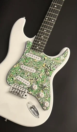 GFA Kenneth & Joey Duo * THE MILK CARTON KIDS * Signed Electric Guitar COA, изображение 3