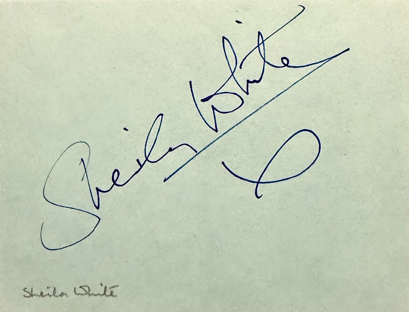 Sheila White — SHEILA WHITE Signed Autographed 4x5 ALBUM PAGE Confessions of a Pop Performer, image 3