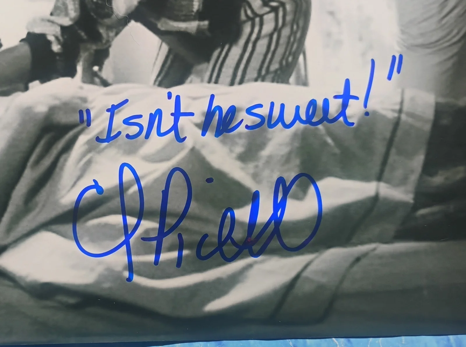 Cindy Pickett Hand Signed Autograph 8x10 Photo COA Ferris Bueller NO US TARIFFS, image 3