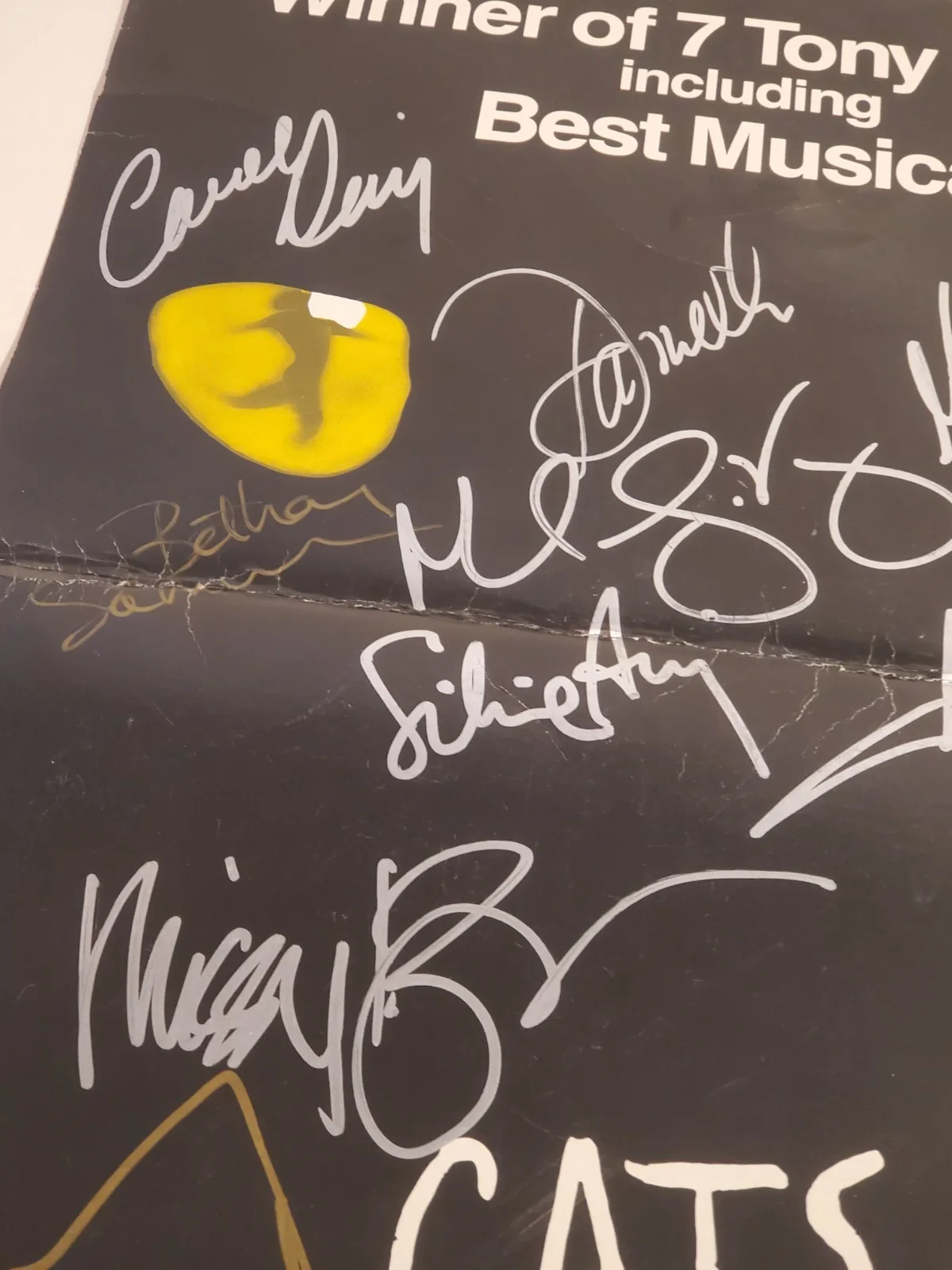VINTAGE CATS ON BROADWAY WINTER DARDEN THEATER SIGNED CAST POSTER 1981 *READ*, изображение 3