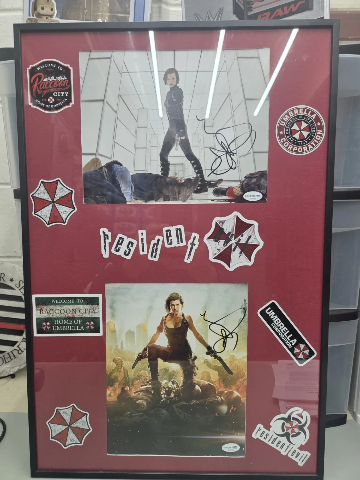 HUGE Collection Of Autographed Items, image 2