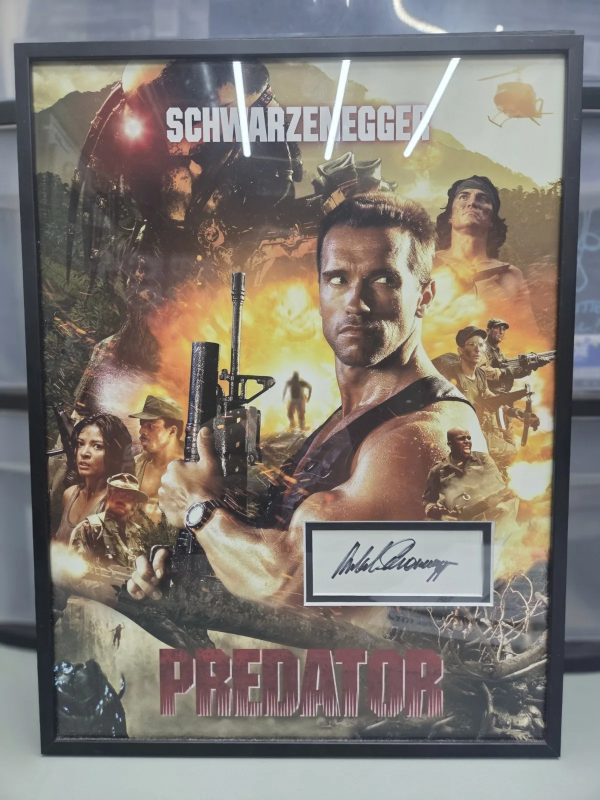 HUGE Collection Of Autographed Items, image 5