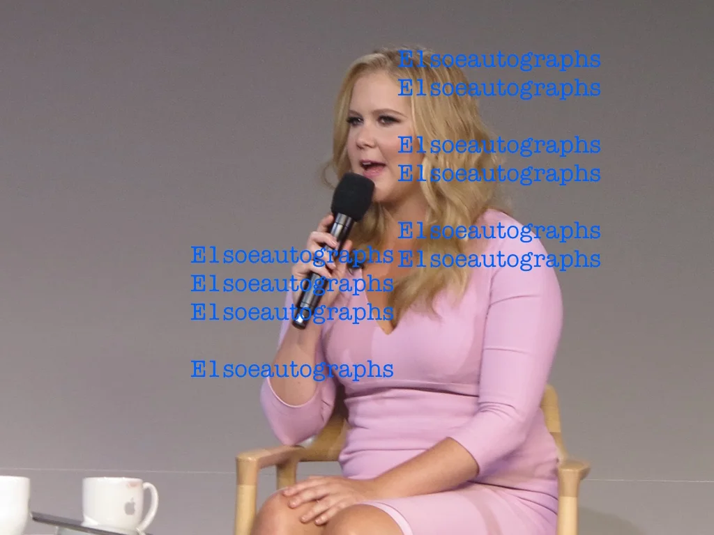 amy schumer — Amy Schumer signed 8x10 Photo in person. Trainwreck, Inside Amy Schumer, image 2