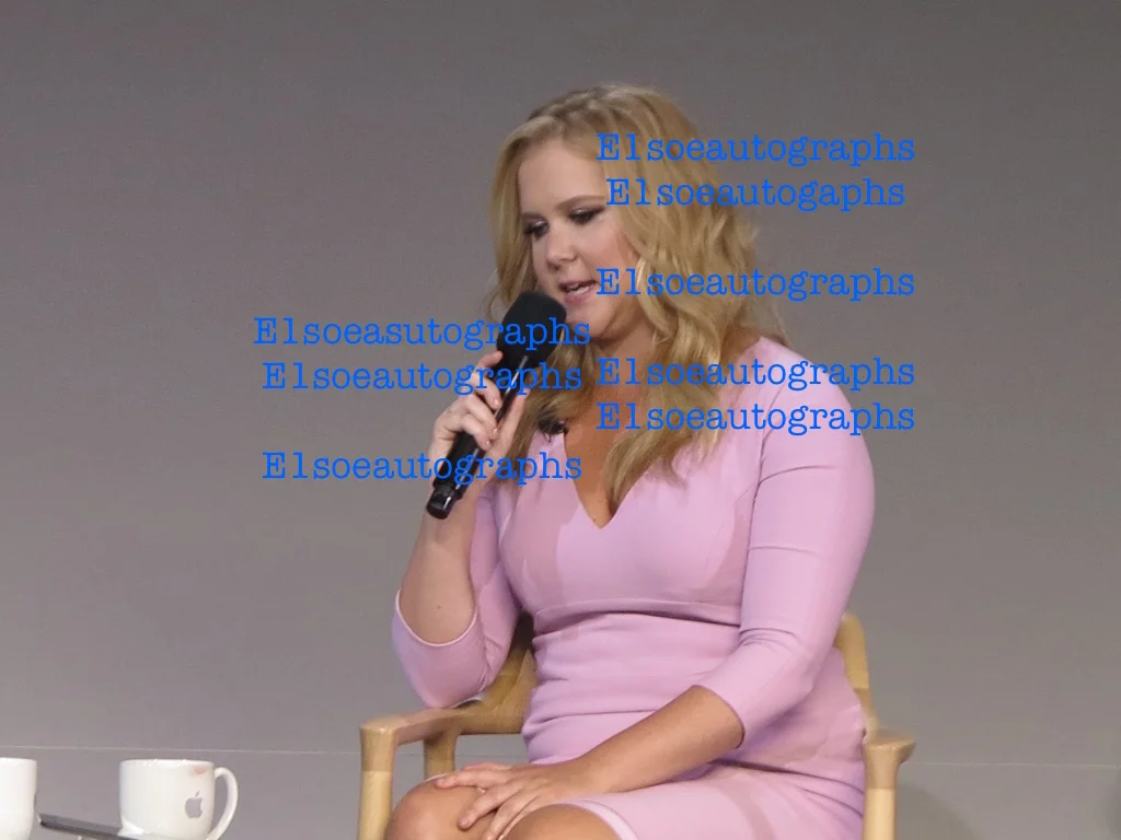 amy schumer — Amy Schumer signed 8x10 Photo in person. Trainwreck, Inside Amy Schumer, image 3