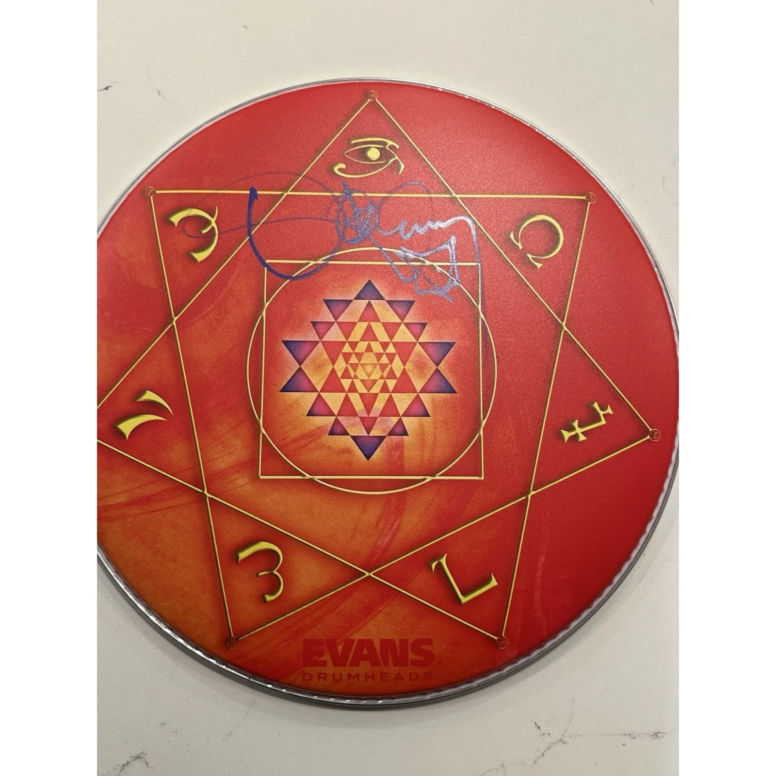TOOL Danny Carey SIGNED Orange Drumhead 14" Tom Tom Head Autographed IN HAND #2, image 2