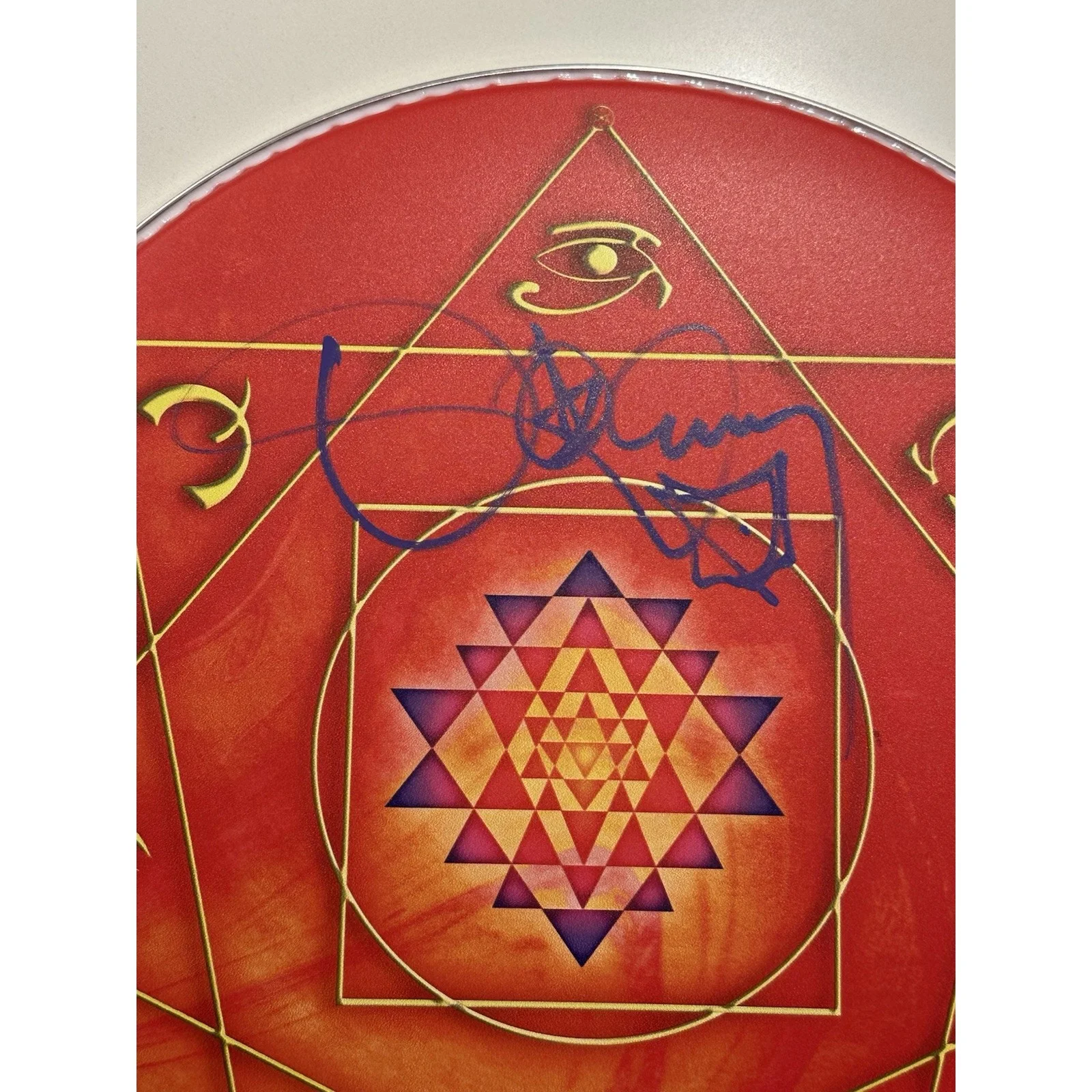 TOOL Danny Carey SIGNED Orange Drumhead 14" Tom Tom Head Autographed IN HAND #2, image 3