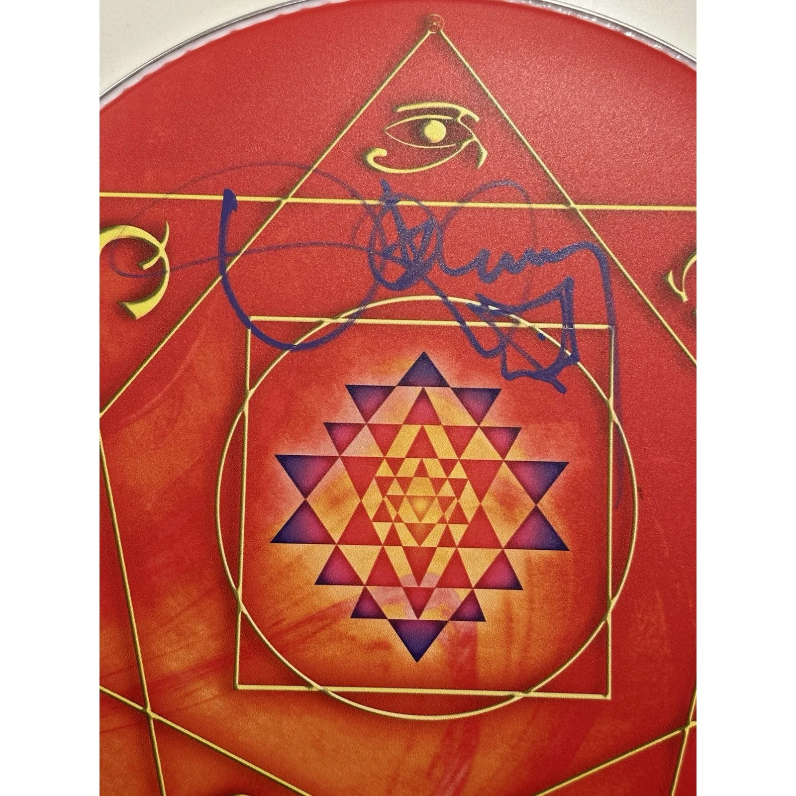 TOOL Danny Carey SIGNED Orange Drumhead 14" Tom Tom Head Autographed IN HAND #2, image 4