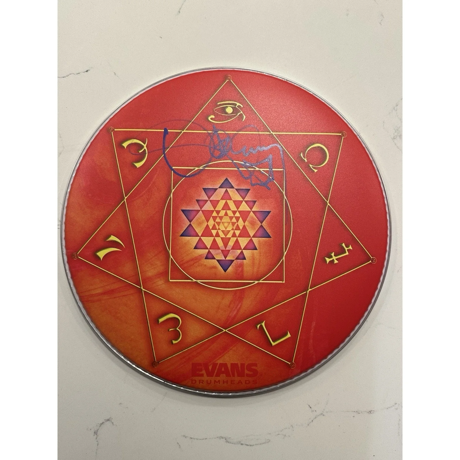 TOOL Danny Carey SIGNED Orange Drumhead 14" Tom Tom Head Autographed IN HAND #2, image 5