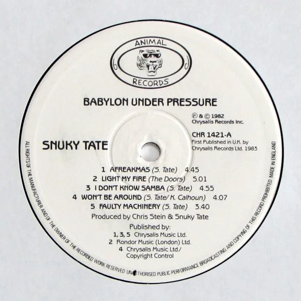 Snuky Tate - Babylon Under Pressure, image 3