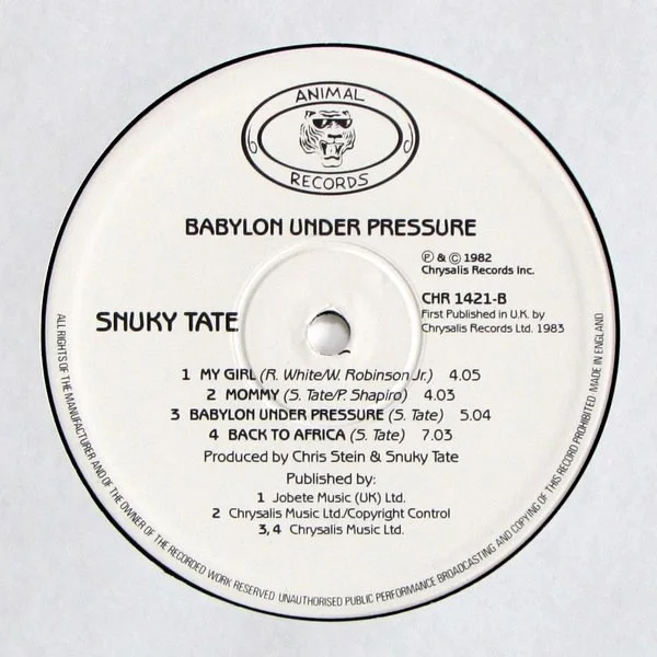 Snuky Tate - Babylon Under Pressure, image 4