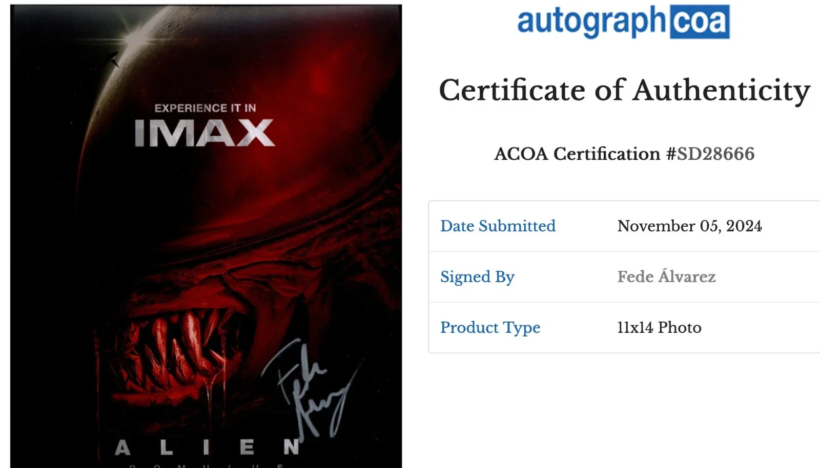 Fede Alvarez — FEDE ALVAREZ SIGNED 11x14 PHOTO AUTOGRAPHED ACOA CERTIFIED AUTHENTIC 🔥, изображение 2