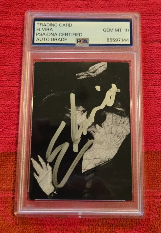 ELVIRA MISTRESS OF THE DARK — ELVIRA MISTRESS OF THE DARK AUTOGRAPHED CARD PSA / DNA AUTO GRADED PSA 10 GEM MT, изображение 3