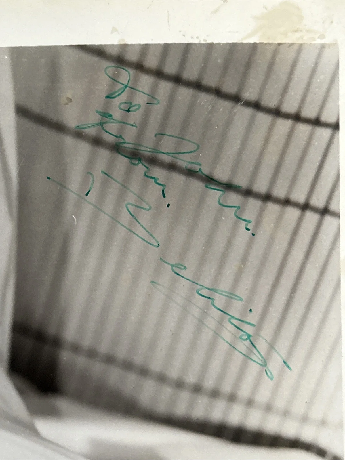 Belita Signed 8x10 Press Photo "Silver Skates"Debut Movie Gorgeous t381, изображение 3