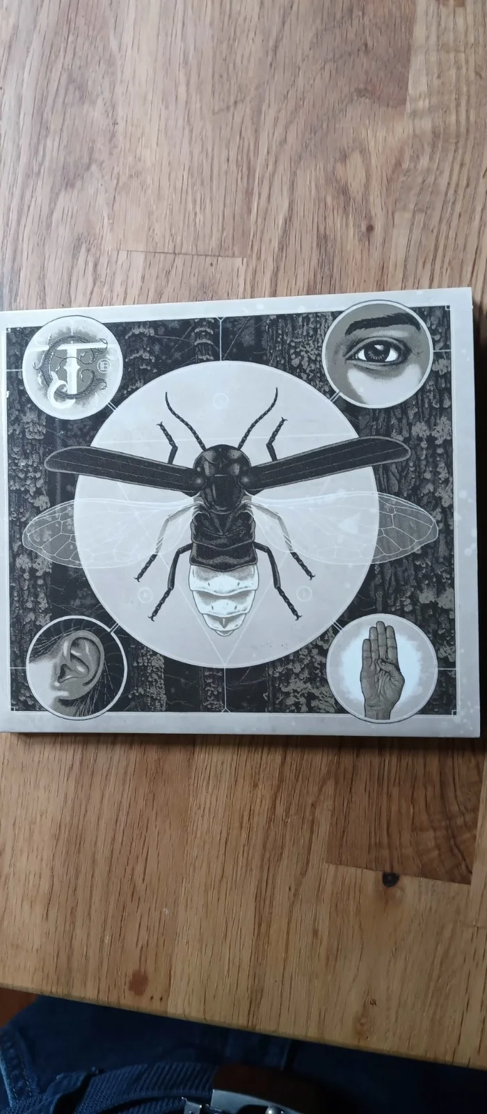 Jerry Cantrell Signed Cd, image 2