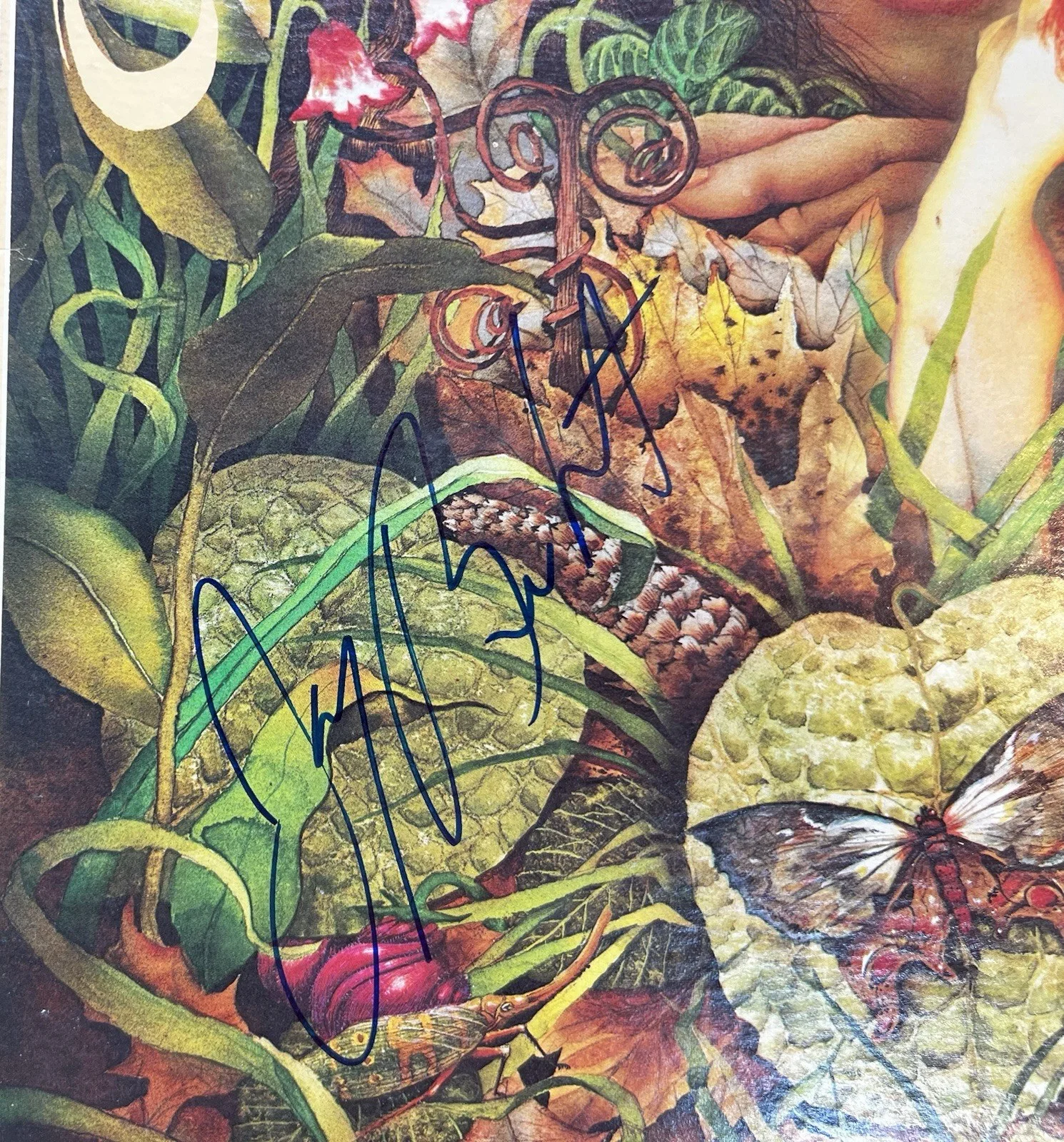 SPYRO GYRA Autographed Lp Record. Signed MORNING DANCE, изображение 2