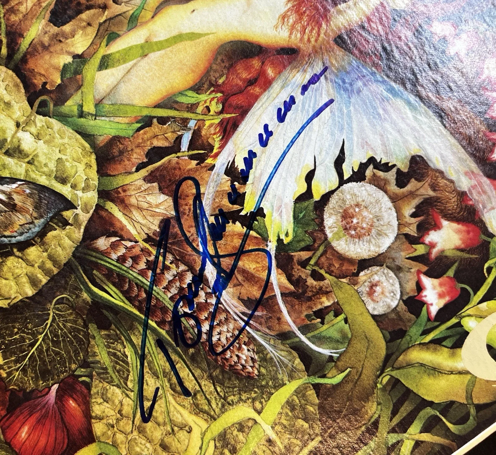 SPYRO GYRA Autographed Lp Record. Signed MORNING DANCE, изображение 3