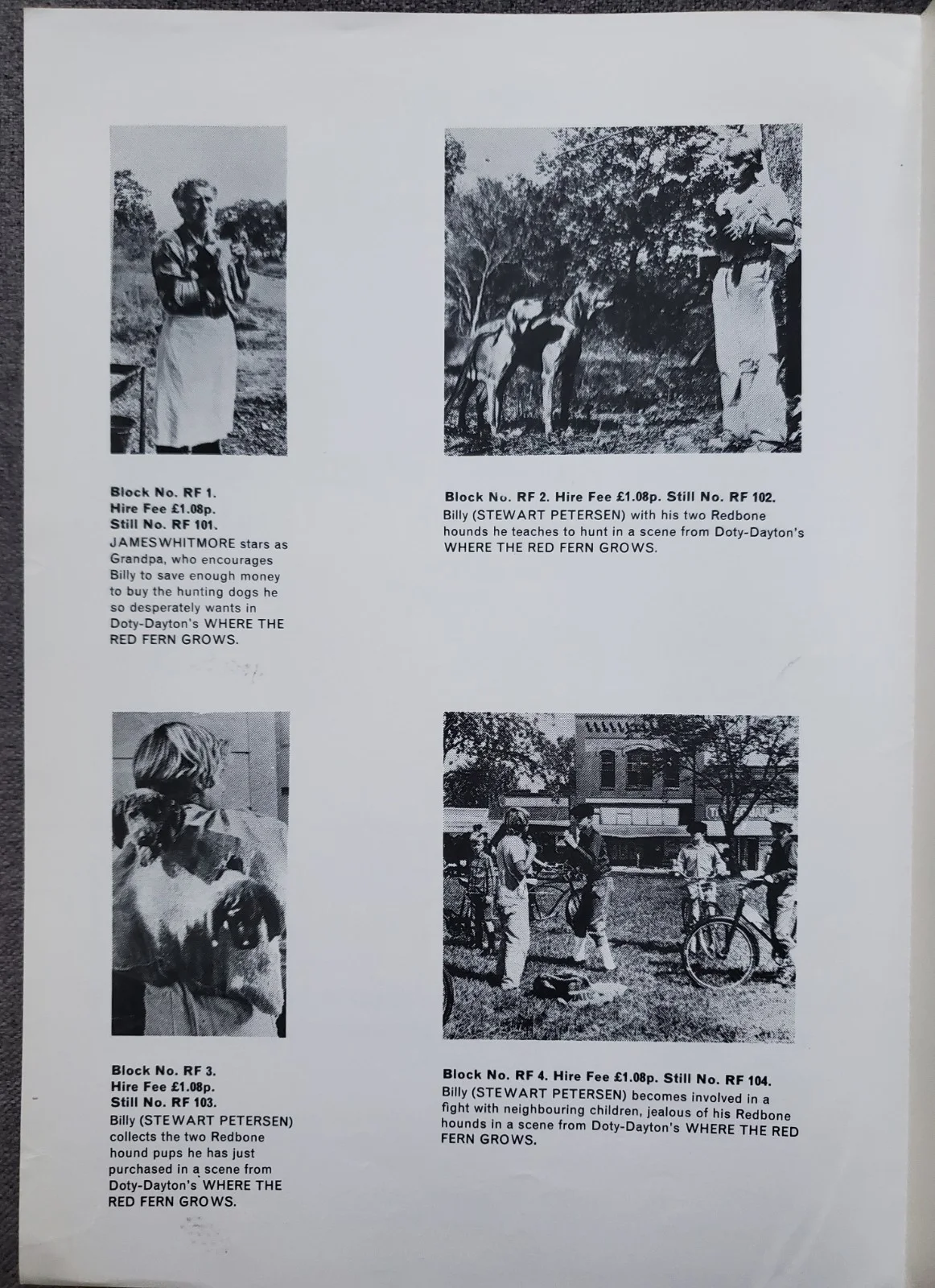WHERE THE RED FERN GROWS - VINTAGE 1974 PRESSBOOK & SYNOPSIS - BEVERLY GARLAND, изображение 2