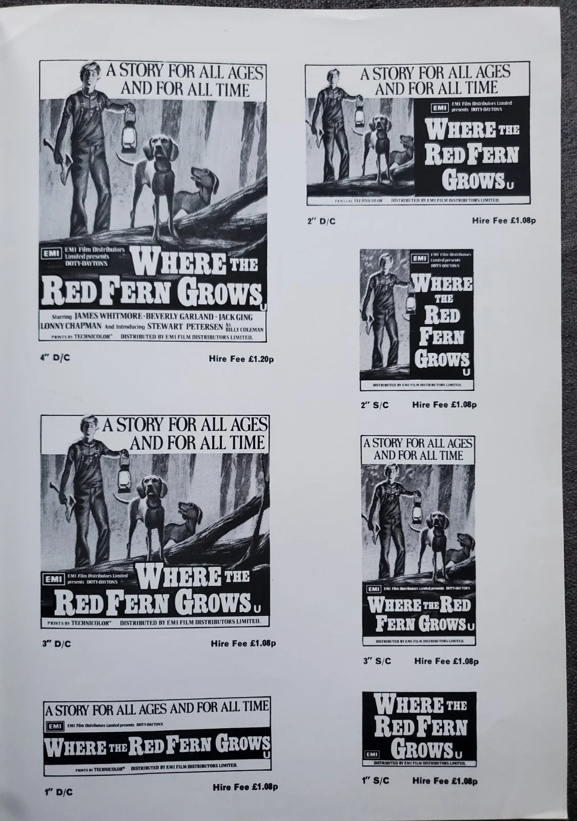 WHERE THE RED FERN GROWS - VINTAGE 1974 PRESSBOOK & SYNOPSIS - BEVERLY GARLAND, изображение 3