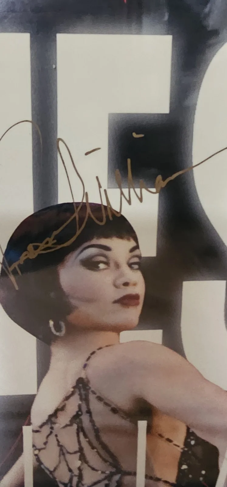 Kiss Of The Spiderwoman The Musical , Vanessa Williams Autographed Poster, изображение 2