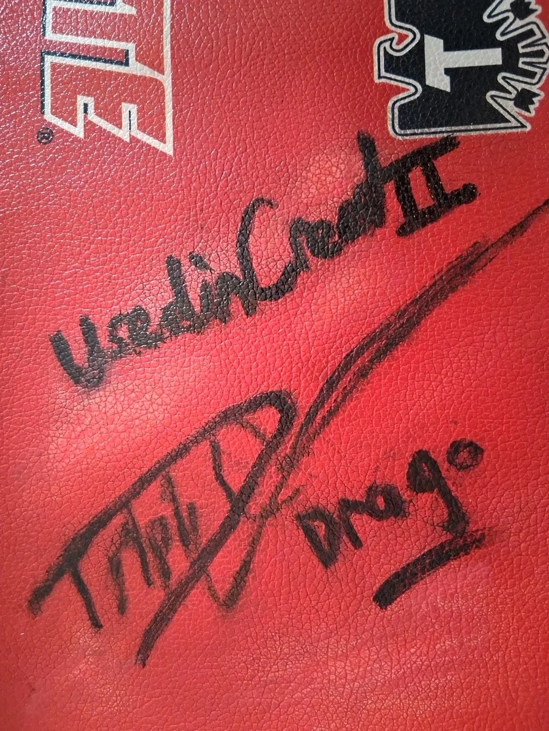 Dolph Lundgren — Dolph Lundgren Authenticated Rope Cover During Shooting Of Creed 2 - W/ 2-COA's, изображение 3