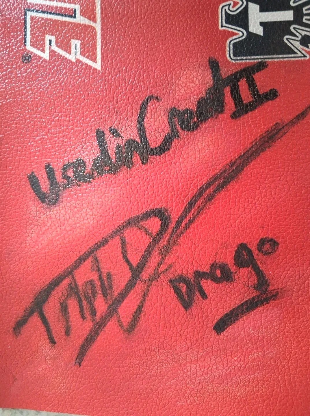 Dolph Lundgren — Dolph Lundgren Authenticated Rope Cover During Shooting Of Creed 2 - W/ 2-COA's, изображение 5