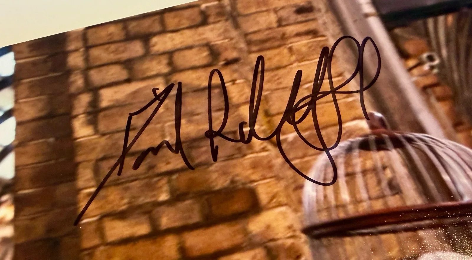 Daniel Radcliffe — Daniel Radcliffe Harry Potter Signed Auto 11x14 Photo BAS Beckett, image 2