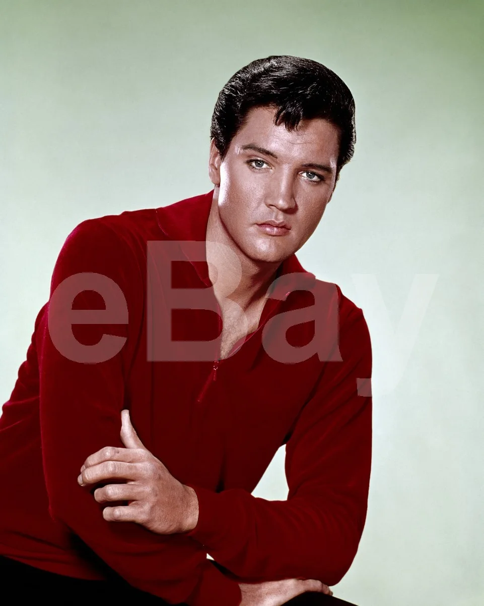 Elvis Presley 16x12 Photo Poster Print, изображение 4