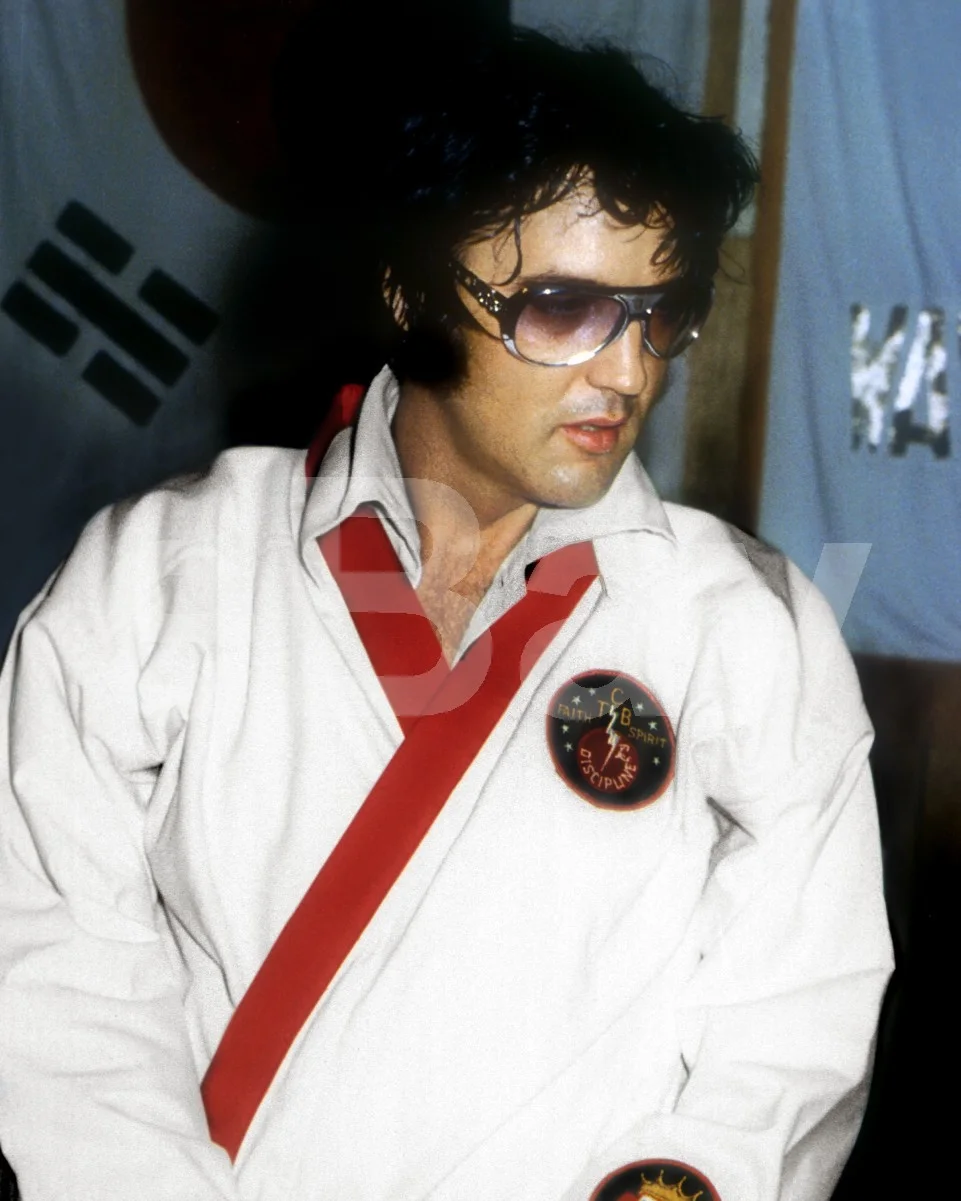 Elvis Presley 16x12 Photo Poster Print, изображение 4