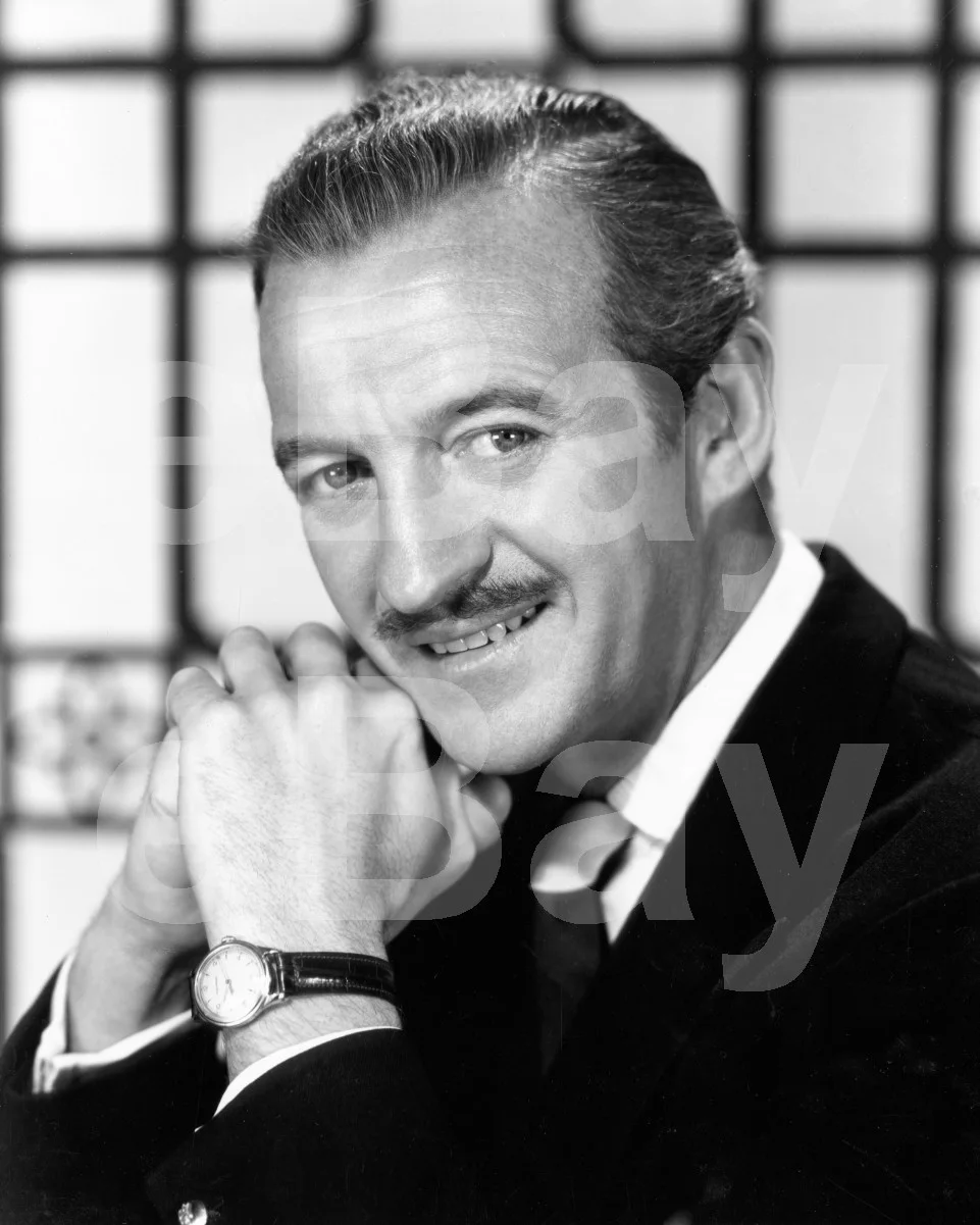 David Niven 16x12 Photo Poster Print, image 4