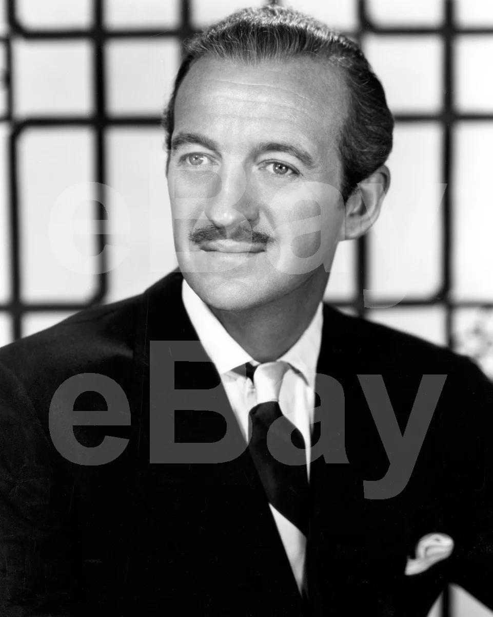 David Niven 16x12 Photo Poster Print, image 4
