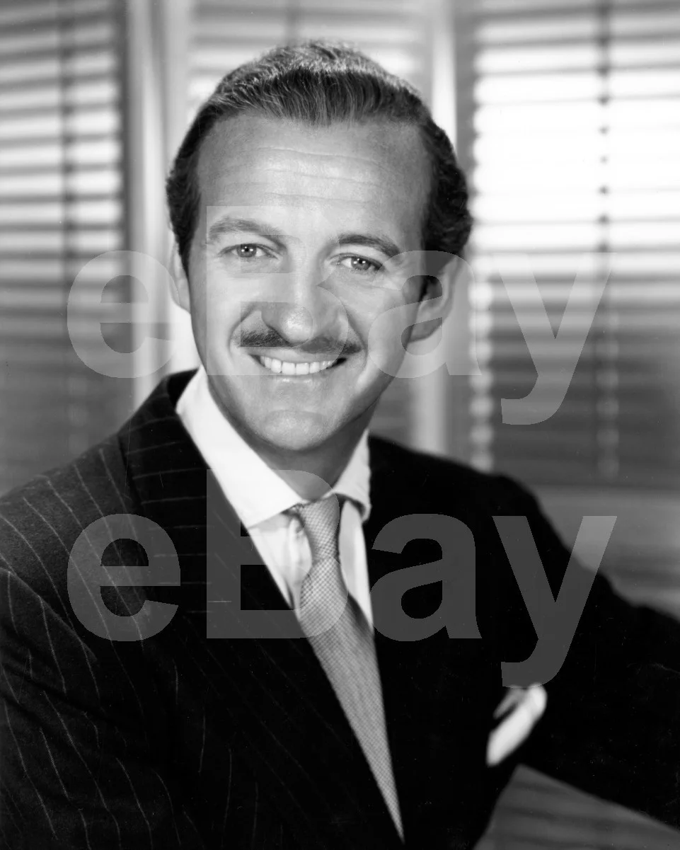 David Niven 16x12 Photo Poster Print, image 4