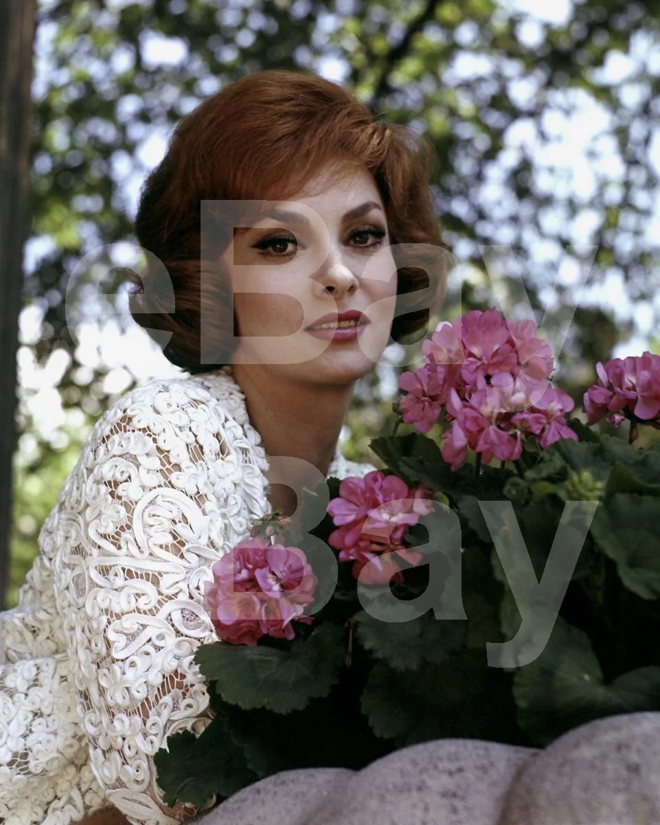 Gina Lollobrigida 16x12 Photo Poster Print, image 4