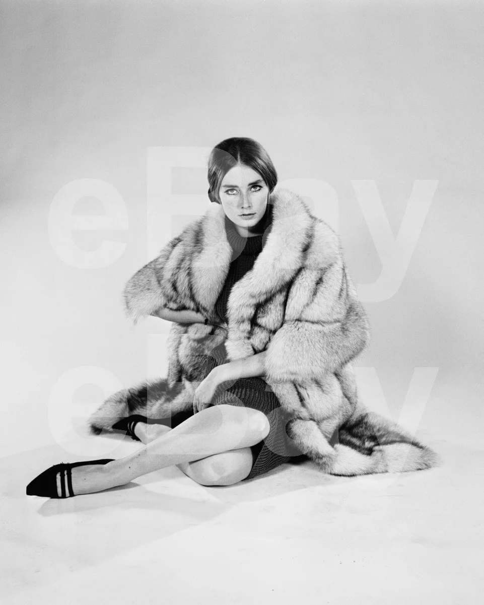 Tania Mallet 16x12 Photo Poster Print, image 4