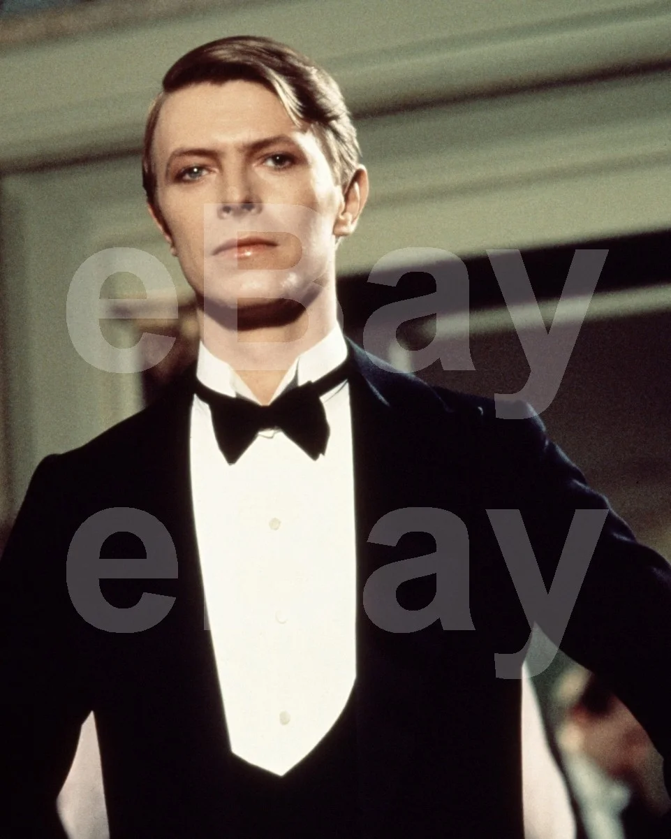 California Gigolo (1979) David Bowie 16x12 Photo Poster Print, изображение 4