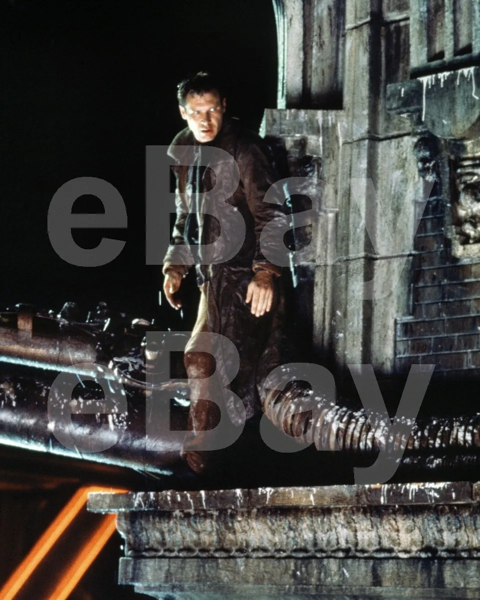 Blade Runner (1982) Harrison Ford 16x12 Photo Poster Print, image 4